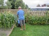Helping with the lawns