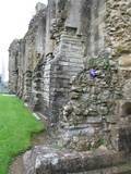 Rock-climbing wall at Glastonbury
