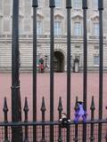 Fence at Buck House