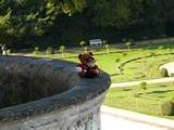 Crusader Bear and Rugby Guy's mother is irresponsile. This is two stories up!