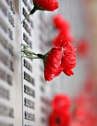 Poppies on wall of rememberance